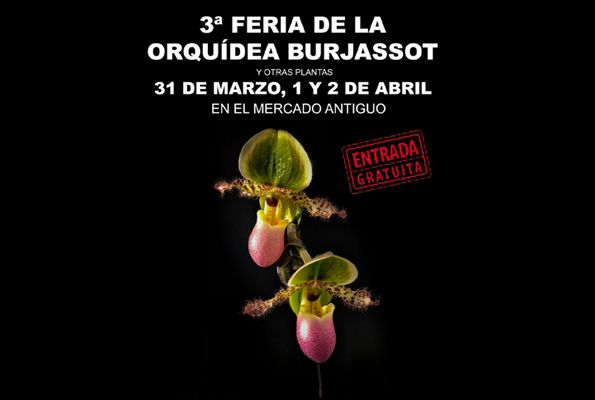 3ª Feria de la Orquídea Burjassot: 31 de Marzo, 1 y 2 de Abril, Burjassot