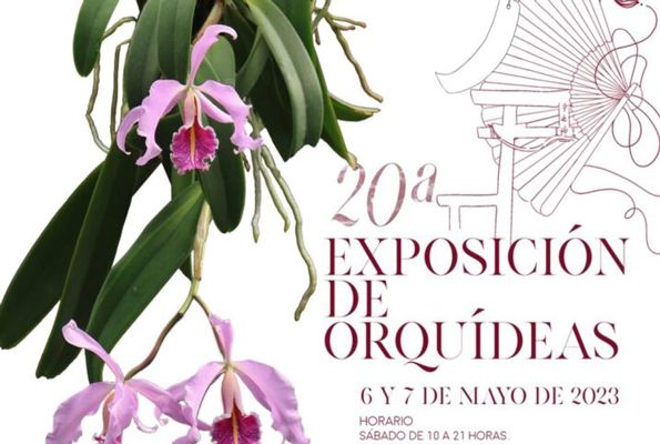 20ª Exposición de orquideas 6 y 7 de Mayo de 2023 - Valencia