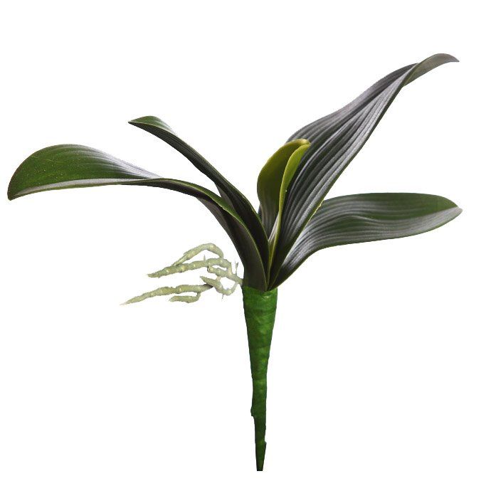 Las mejores plantas artificiales tropicales que podamos encontrar